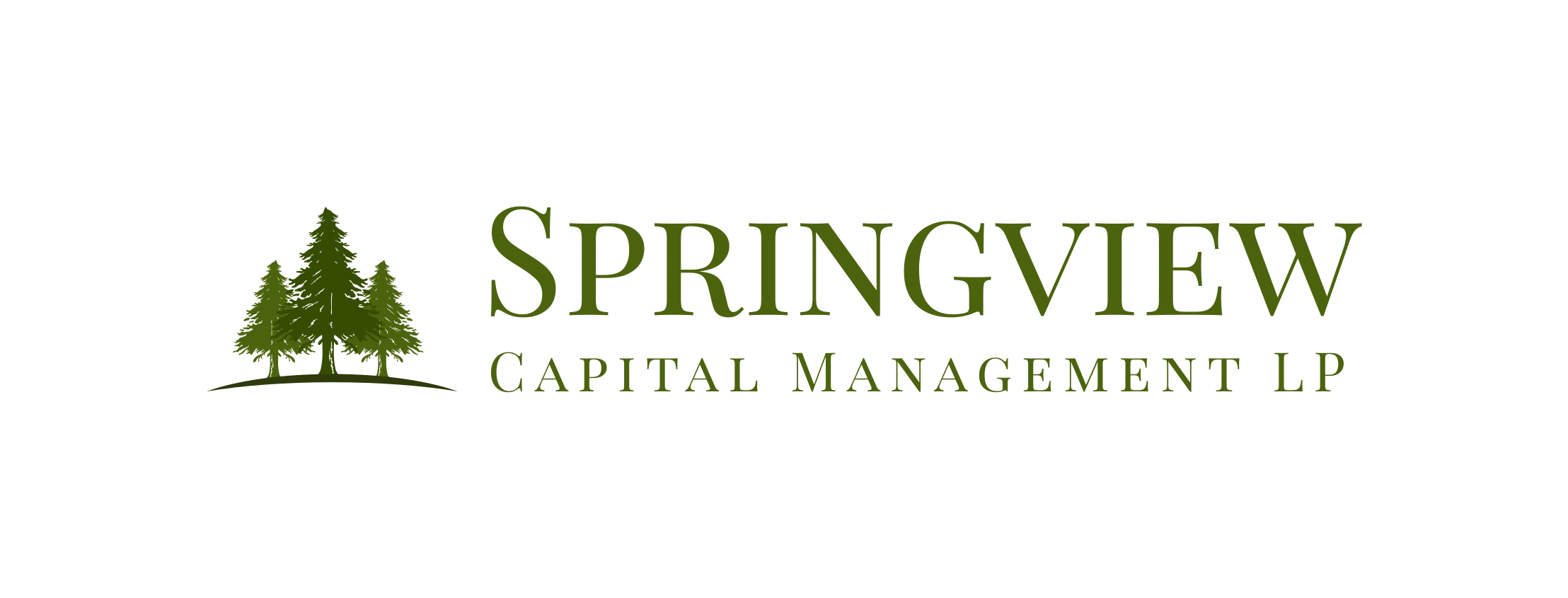 Springview Capital Management LP